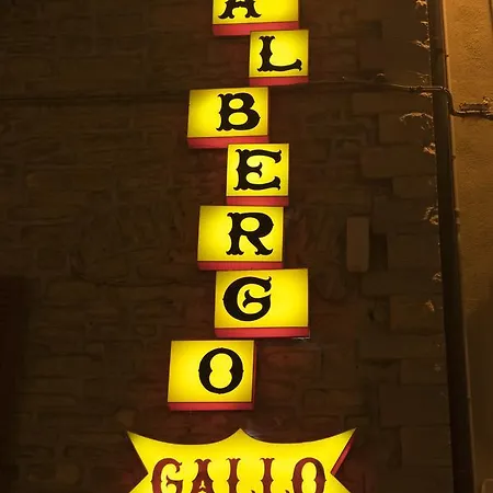 Ristorante Gallo Hotel 3*